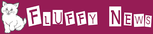 Fluffy News Website Project